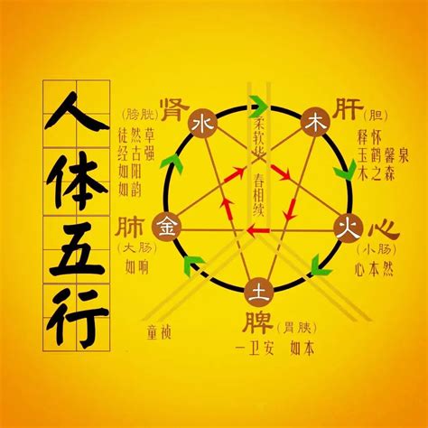 什么是五行|一文读懂五行学说